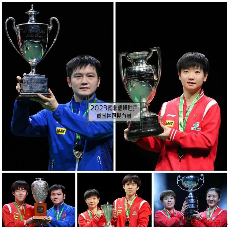 樊振东、孙颖莎、王楚钦等被授予运动健将称号