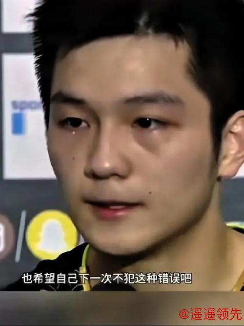樊振东德国“降维打击”，看哭质疑他的人